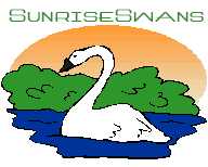 Sunrise Swans
